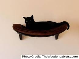 17 Best Cat Shelves And Wall Perches