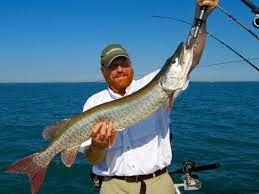 lake st clair charter fishing index by