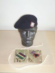 Pin By Jeff Grover On Badges Army Beret British Army