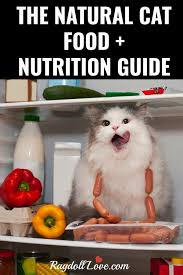 The Natural Cat Food And Nutrition Guide