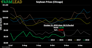 Soybean Prices Rally Into November Farmlead