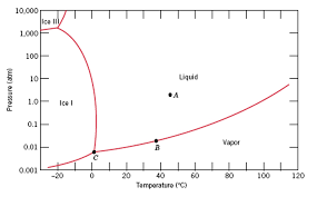 Solved The Figure Below Is The Pressure Temperature Phase