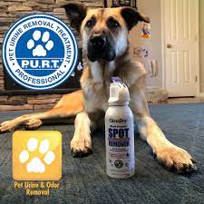 pet urine odor removal tnt chem dry