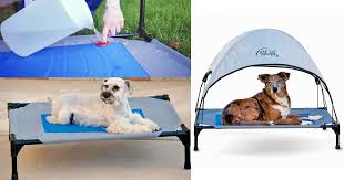This Outdoor Dog Bed S Cold Water