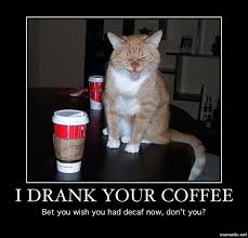 15% off with code zazztopgifts. Monday 23 11 2020 National Espresso Day Wake Up And Smell The Coffee The Daily Kitten