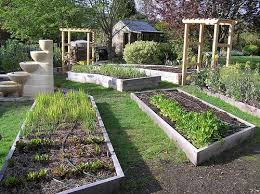 Vegetable Garden And Orchard Design