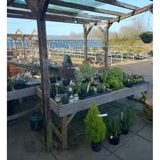 Rainbow Garden Nurseries Epsom And Ewell