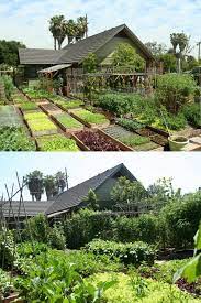 best vegetable garden