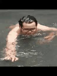 Search the imgflip meme database for popular memes and blank meme templates. Funny Swimming Pools Gifs Tenor