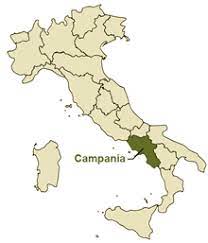 The regione is located in the southwest area of the italy, not far from naples. Olive Oil Italy Campania Olive Oil Olio2go Italy S Finest Olive Oil