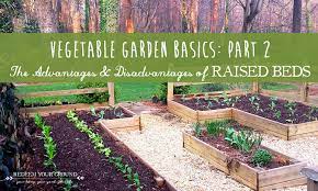 Disadvantages Of Raised Beds