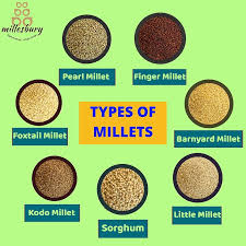 types of millets and their benefits