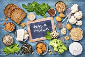 vegetarian protein sources