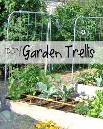 Going Buggy Diy Garden Trellis