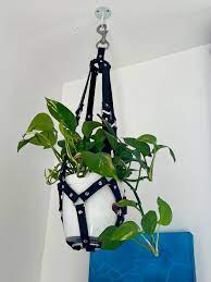 Handmade Black Bondage Leather Plant Hanger With Rings and - Etsy