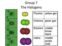 group 7 of the periodic table the halogens