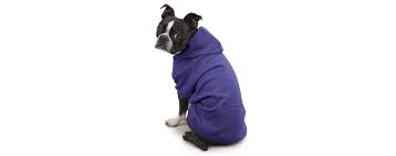 The Best Dog Hoodies Review In 2019 Pet Side