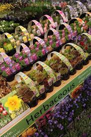How Is The Uk Garden Centre Sector