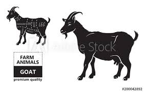 Vector Illustration Goat Cuts Diagram Or Chart Goat Black