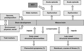 Scientific And Experimental Bases Of Electroconvulsive