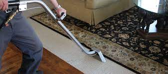 best residential carpet cleaner safe