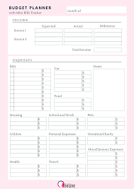 Budget Planner With Mini Bills Tracker Free Printable