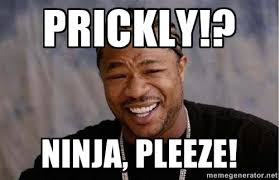 Prickly!? Ninja, pleeze! - Yo Dawg | Meme Generator via Relatably.com