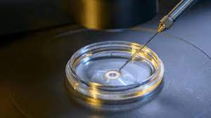It helped couples to become parents who previously would not be able to have their own children. In Vitro Fertilisation Ivf Treatment And Surrogacy In Islam Ethics 1 8 Abu Khadeejah Ø£Ø¨Ùˆ Ø®Ø¯ÙŠØ¬Ø©