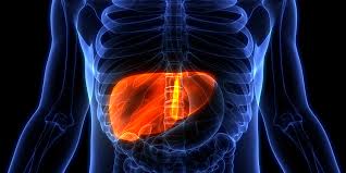 s that can cause liver damage