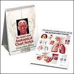 Classic Anthology Of Anatomical Charts 6th Edition Each