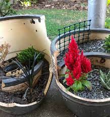 Grow Almost Any Plant In A Container