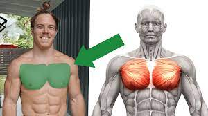 perfect chest with only dumbbells