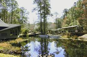 boat tour review of okefenokee sw
