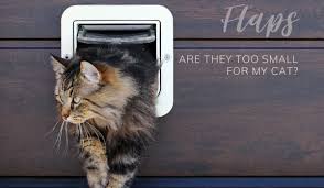 Cat Flap For A Sliding Patio Door