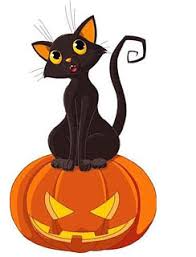 Resultat d'imatges de HALLOWEEN CAT