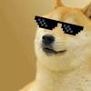 The dogecoin price for june 20, 2021 is $0.2615050. 1