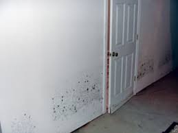 basement drywall restoration total