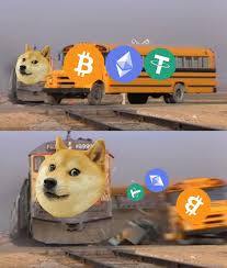 Doge refers to an internet meme that pairs pictures of shiba inu dogs, particularly one named kabosu, with captions depicting the dog's internal monologue. Pcfntdfx6cu2hm