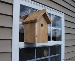 Window Bird House Nestbox