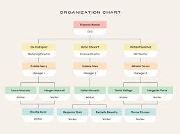 organization chart templates canva