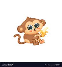 cute baby monkey eating a banana