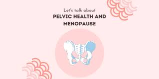 pelvic health physiotherapy wellington