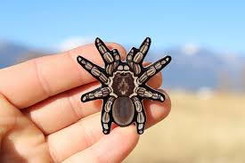 Tarantula Magnet Gift For Spider Lover