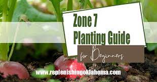 Zone 7 Planting Schedule For Beginners