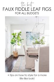 So we here at apartment therapy decided to put together this very real guide to buying very fake plants. The Best Faux Fiddle Leaf Fig Trees Tips Life On Virginia Street