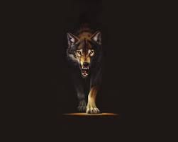 Awesome wolf wallpaper for desktop, table, and mobile. Black Wolf Wallpapers Wallpaper Cave