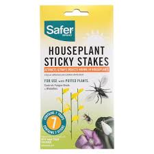 houseplant sticky stakes insect traps