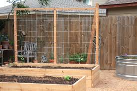 How To Build A Vertical Trellis