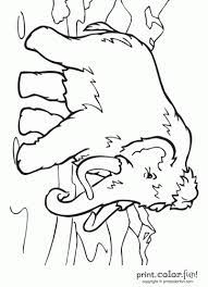 Printable stone age coloring pages. Wooly Mammoth Animal Coloring Pages Coloring Pages Stone Age Animals
