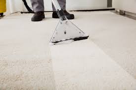 Image result for carpet cleaning